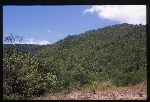 [2002-08] Dominica - Near Mero