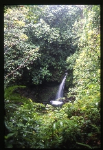 [2002-08] Dominica - Emerald Pool