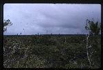 [1996-08] Dominican Republic - Jaragua National Park