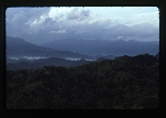 Jamaica - John Crow Mountains