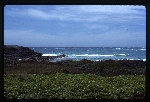 [1988-06] Bermuda - Non-Such Island -02