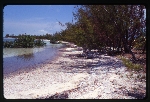 [1999-05] Bahamas - Whale Cay