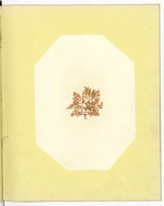 Pressing of Red Algae, Dry Tortugas