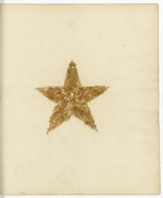 Pressed Algae, Dry Tortugas