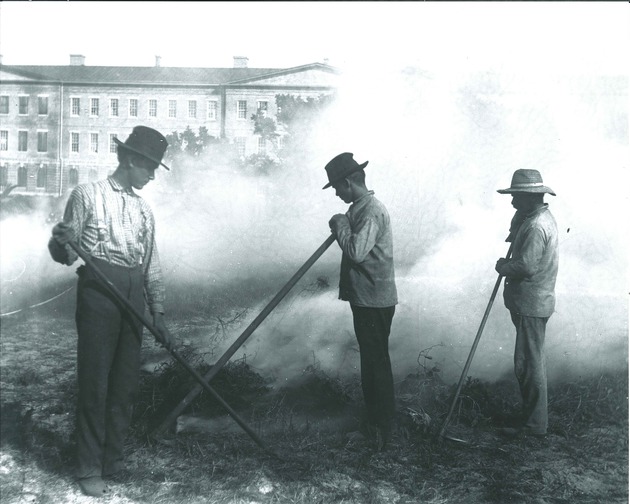 Burning off grass