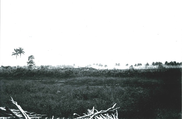 Countryside