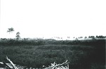 Countryside