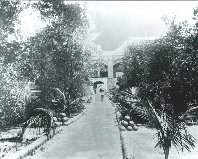 Cannonball Avenue