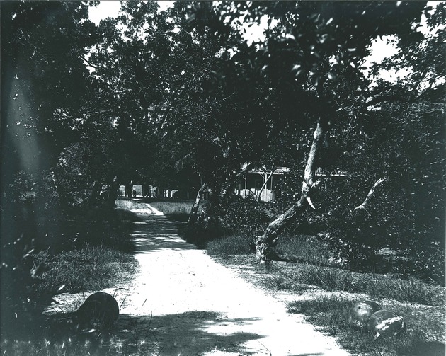 Sidepath across parade ground