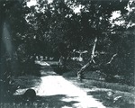 Sidepath across parade ground