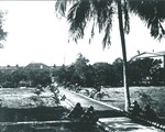 Cannonball Avenue