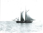 Schooner Glazier