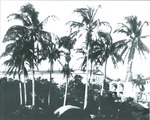 Over southwest magazine