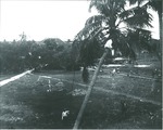 View from balcony