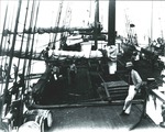 Schooner Alice McDonald