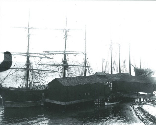 Bark Morland, Schooners Pendleton and Goodwin Stoddard