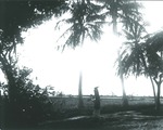 Man performing hand stand