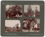 Live oaks, canal, and cemetaries