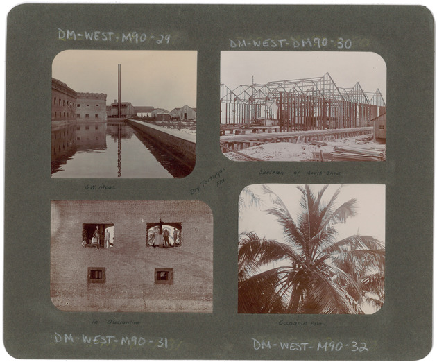 Moat, Quarantine, South Shed, and Coconut Palm