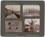 Moat, Quarantine, South Shed, and Coconut Palm