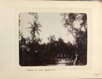 Cannonballs, Tree Grove, and Officers Quarters