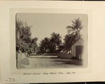 Street Scene of Key West, Florida