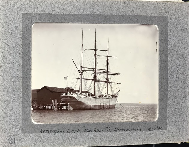 The Norwegian Bark, Morland, in Quarantine