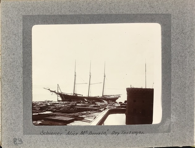 The Schooner Alice McDonald