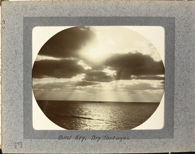 Bird Key, Dry Tortugas