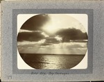 Bird Key, Dry Tortugas
