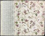 Mabel L. West Photo Album