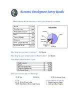Economic development survey results