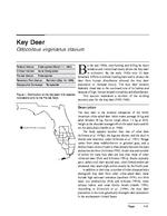 Key Deer : Multi-species recovery plan for South Florida