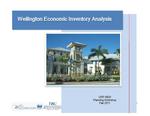 [2011] Wellington economic inventory analysis
