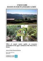 Effect of organic matter quality on ecosystem metabolism in the upper catchment of the Mara River, Kenya