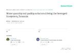 [2001-08-01] Water quantity and quality as the factors driving the serengeti ecosystem, Tanzania