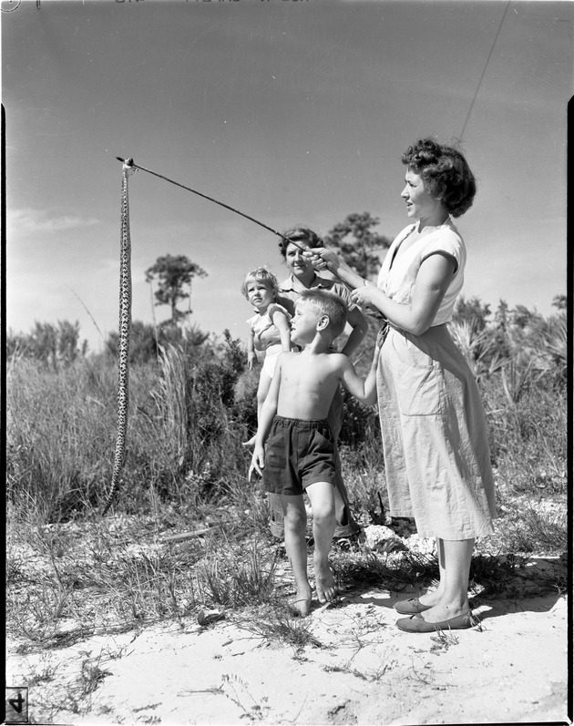 Lady showing a dead snake to a small group of spectators - 