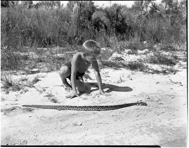 Boy intrigued by a dead snake
