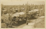 [1930s] Ollie Trouts Tourist Park, 107th St. and Biscayne Blvd., Miami, Fla.