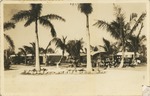[1930s] Ollie Trouts Tourist Park, 107th Street Biscayne Blvd., Miami, Fla.