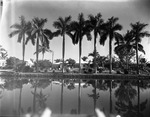 [1951-12-13] Resident in front of his home on 11400 Griffing Blvd. with view of Biscayne Canal