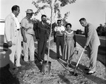 [1955-11-25] Mayor Ludick planting trees
