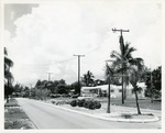 [1961-08-25] Plants and trees in a median strip in a road in Keystone .-- Alt. Title: Keystone beautification program