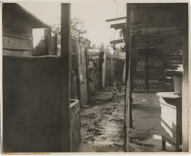 #18655 House in La Timba neighborhood - 