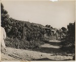 [1951-10-03] #17813 House in La Timba Neighborhood