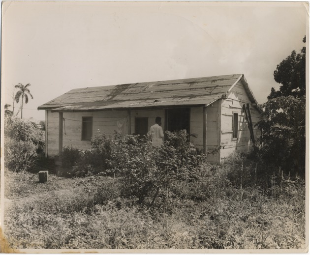 #17816 House in La Timba Neighborhood - 