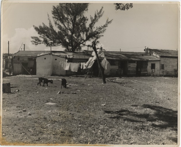 #15379 House in La Timba Neighborhood - 