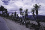 [1965-08] Country Lake Atitlán 5