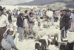 [1978-11] San Franciso El Alto market 2