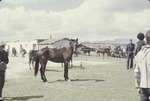 [1978-11] San Franciso El Alto market 3